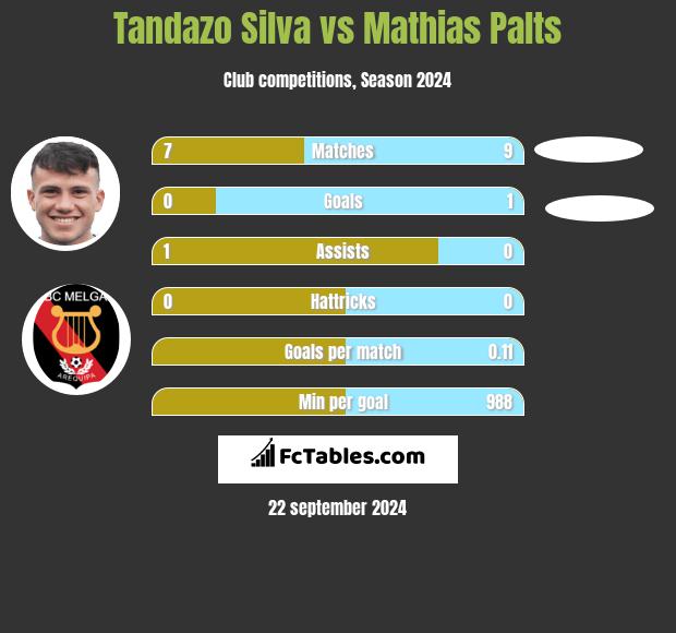 Tandazo Silva vs Mathias Palts h2h player stats