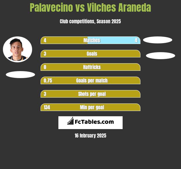 Palavecino vs Vilches Araneda h2h player stats