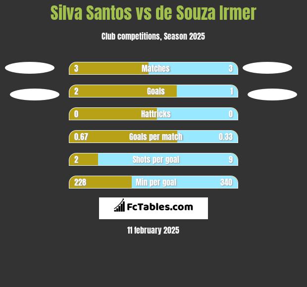 Silva Santos vs de Souza Irmer h2h player stats