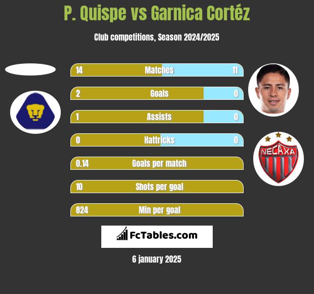 P. Quispe vs Garnica Cortéz h2h player stats