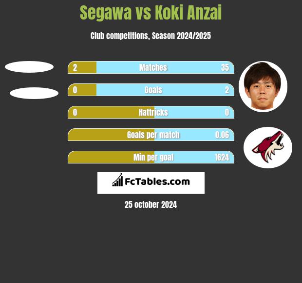 Segawa vs Koki Anzai h2h player stats