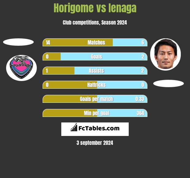 Horigome vs Ienaga h2h player stats