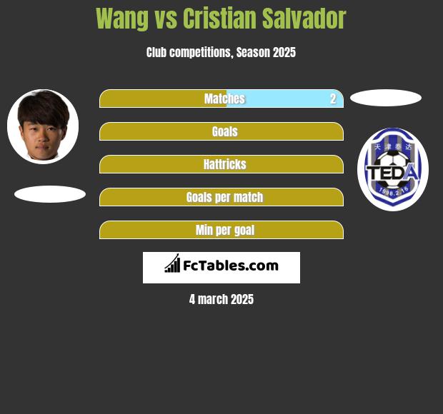 Wang vs Cristian Salvador h2h player stats