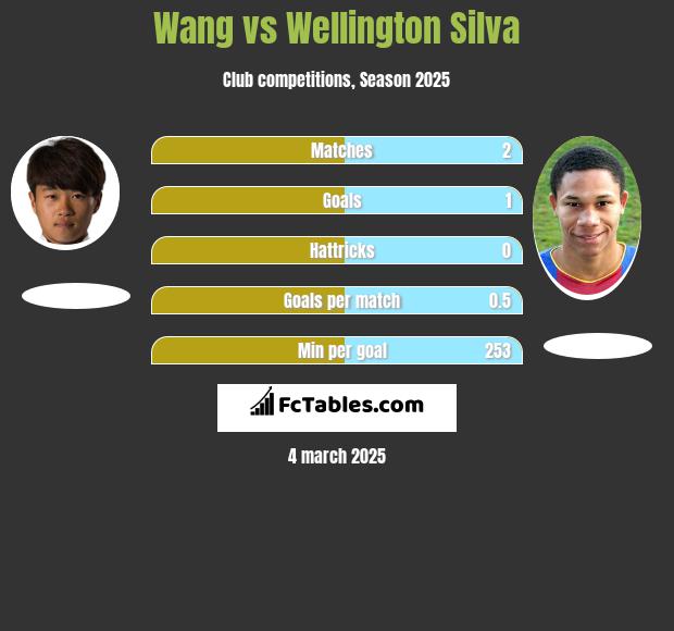 Wang vs Wellington Silva h2h player stats