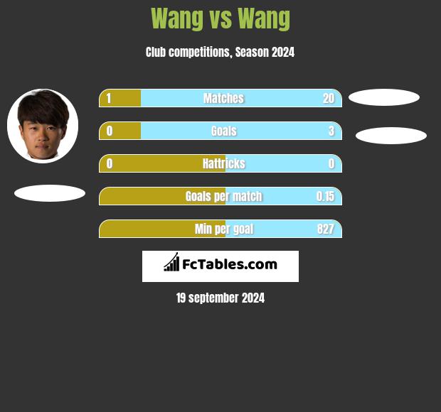 Wang vs Wang h2h player stats