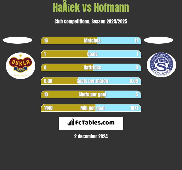 HaÅ¡ek vs Hofmann h2h player stats