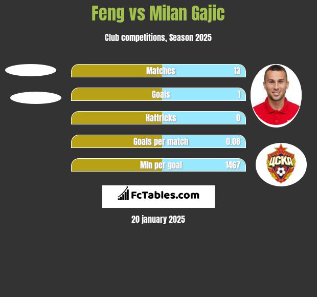 Feng vs Milan Gajic h2h player stats