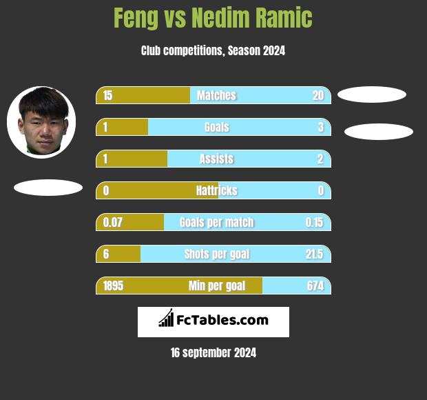 Feng vs Nedim Ramic h2h player stats