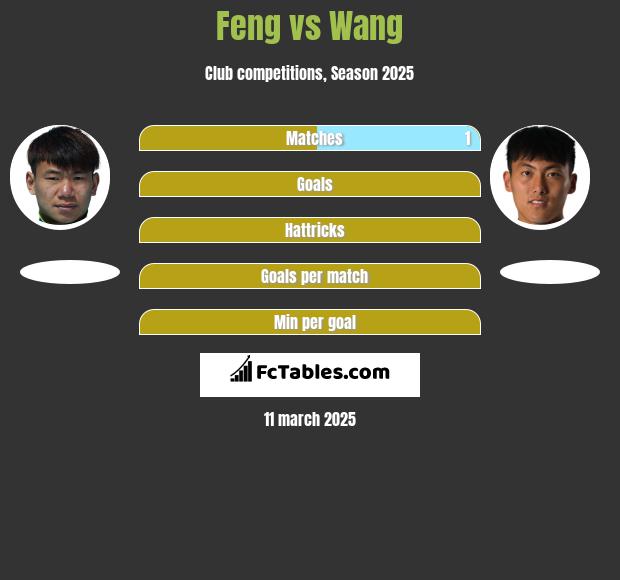 Feng vs Wang h2h player stats