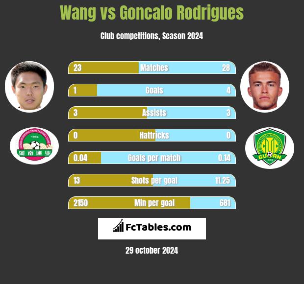 Wang vs Goncalo Rodrigues h2h player stats