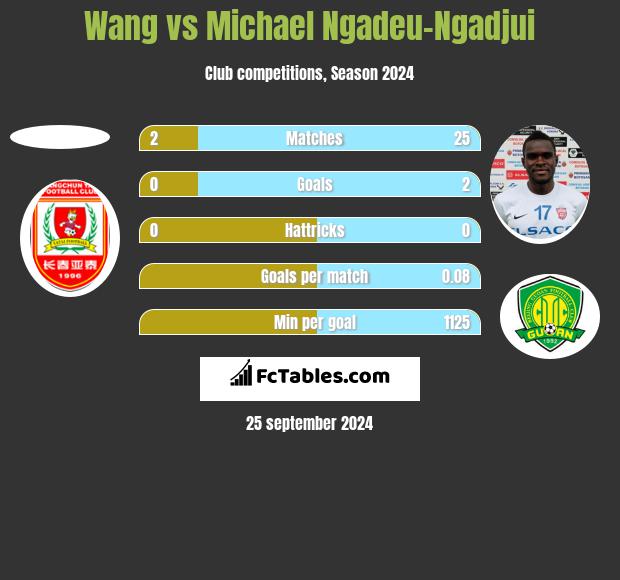 Wang vs Michael Ngadeu-Ngadjui h2h player stats