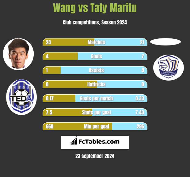 Wang vs Taty Maritu h2h player stats