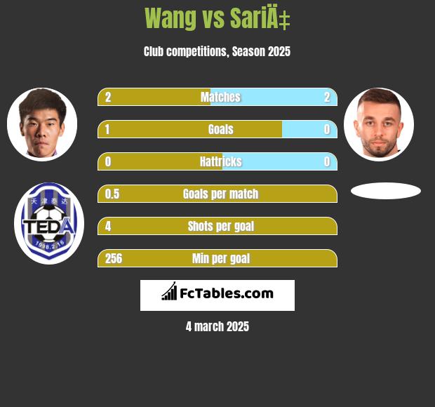 Wang vs SariÄ‡ h2h player stats