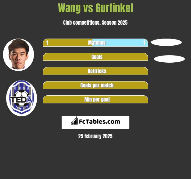 Wang vs Gurfinkel h2h player stats