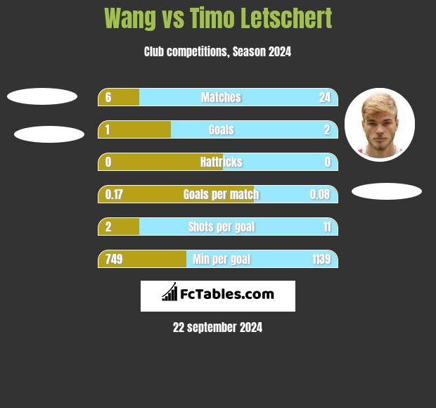 Wang vs Timo Letschert h2h player stats