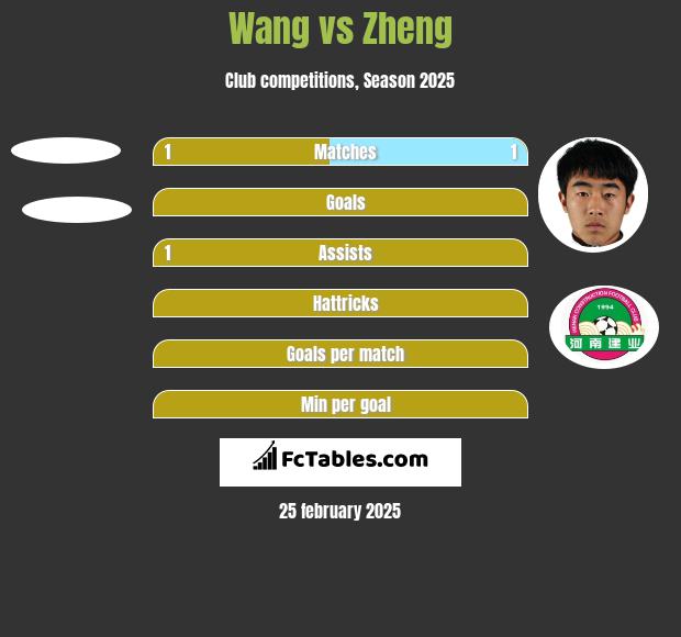 Wang vs Zheng h2h player stats