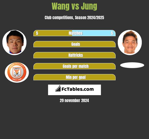 Wang vs Jung h2h player stats