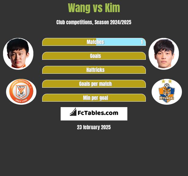 Wang vs Kim h2h player stats