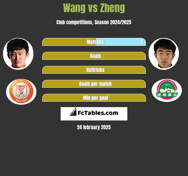 Wang vs Zheng h2h player stats