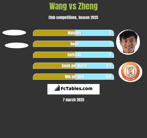 Wang vs Zheng h2h player stats