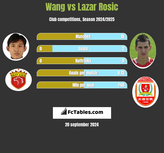 Wang vs Lazar Rosic h2h player stats