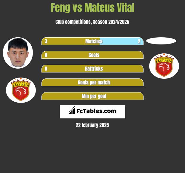 Feng vs Mateus Vital h2h player stats