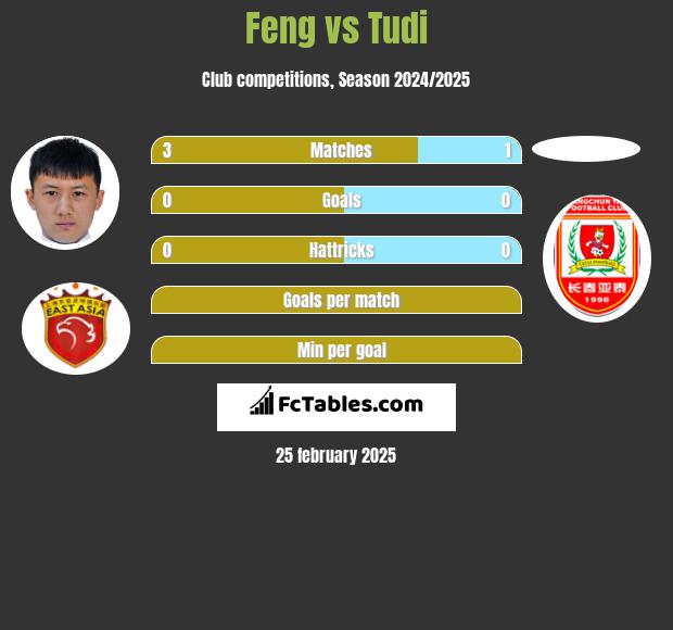 Feng vs Tudi h2h player stats