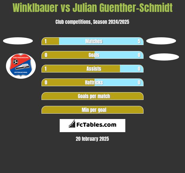 Winklbauer vs Julian Guenther-Schmidt h2h player stats