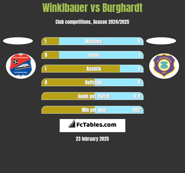 Winklbauer vs Burghardt h2h player stats