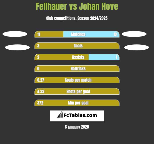 Fellhauer vs Johan Hove h2h player stats