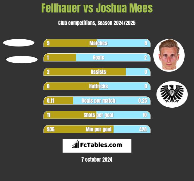 Fellhauer vs Joshua Mees h2h player stats