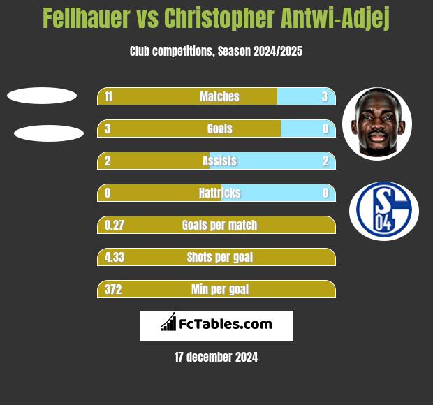 Fellhauer vs Christopher Antwi-Adjej h2h player stats