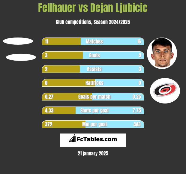 Fellhauer vs Dejan Ljubicic h2h player stats