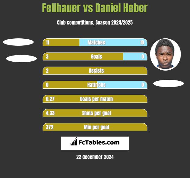 Fellhauer vs Daniel Heber h2h player stats