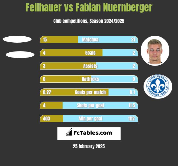 Fellhauer vs Fabian Nuernberger h2h player stats