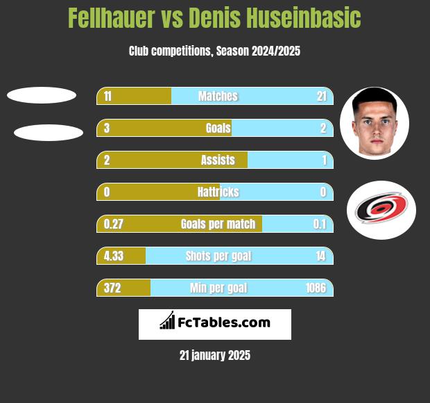 Fellhauer vs Denis Huseinbasic h2h player stats