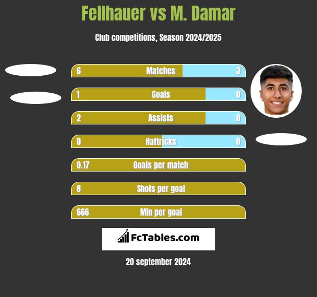 Fellhauer vs M. Damar h2h player stats