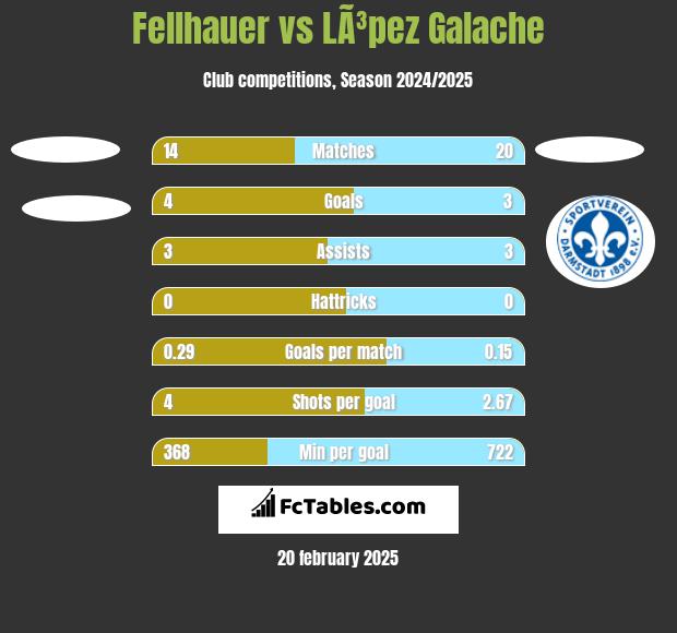 Fellhauer vs LÃ³pez Galache h2h player stats