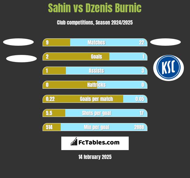 Sahin vs Dzenis Burnic h2h player stats