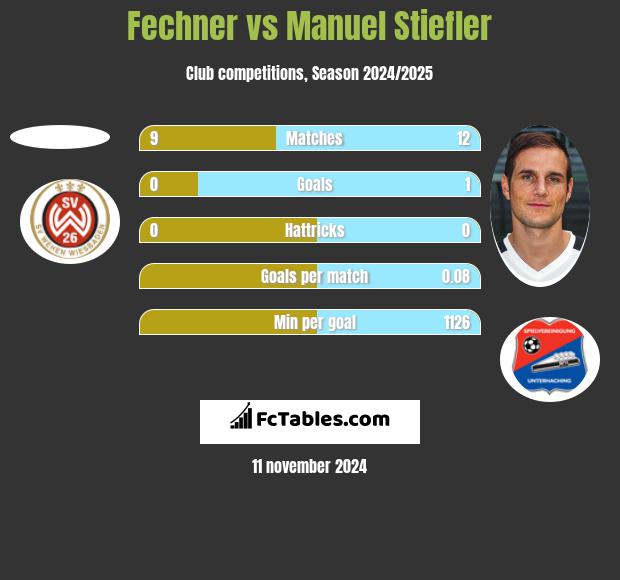 Fechner vs Manuel Stiefler h2h player stats