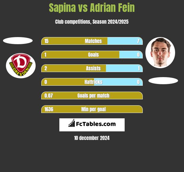 Sapina vs Adrian Fein h2h player stats