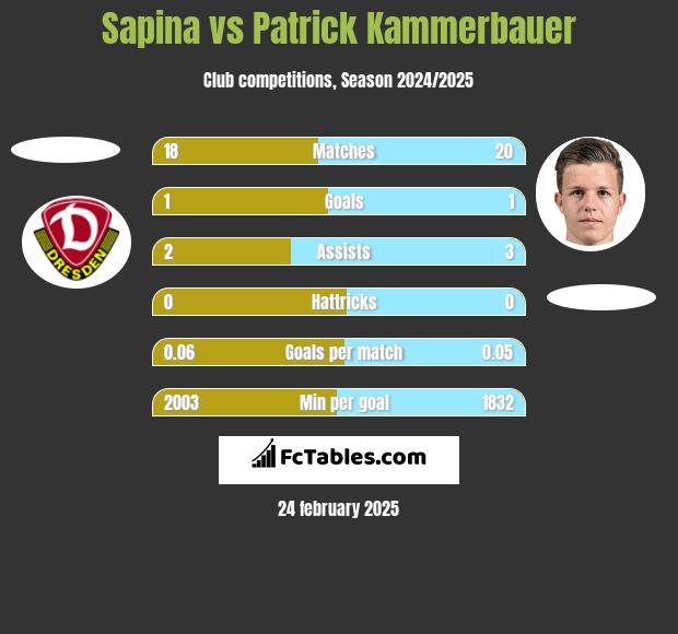 Sapina vs Patrick Kammerbauer h2h player stats