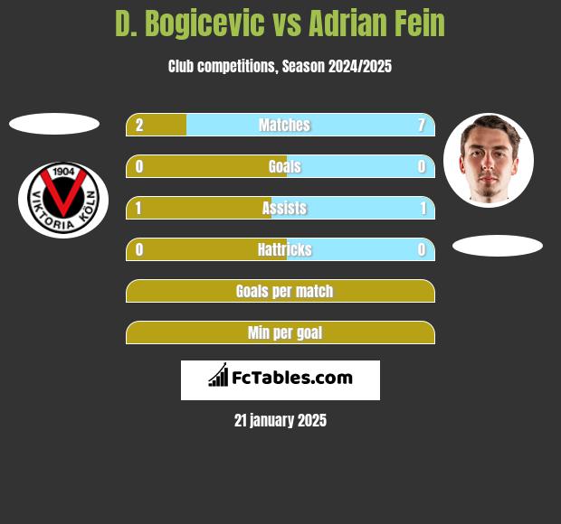 D. Bogicevic vs Adrian Fein h2h player stats