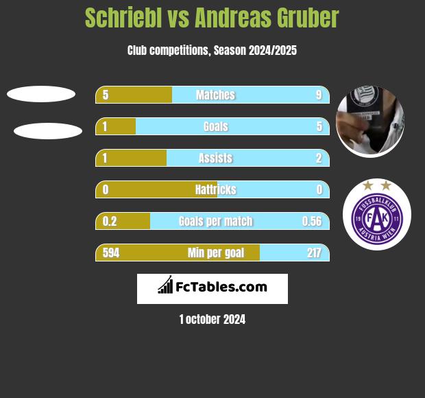 Schriebl vs Andreas Gruber h2h player stats