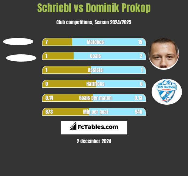 Schriebl vs Dominik Prokop h2h player stats