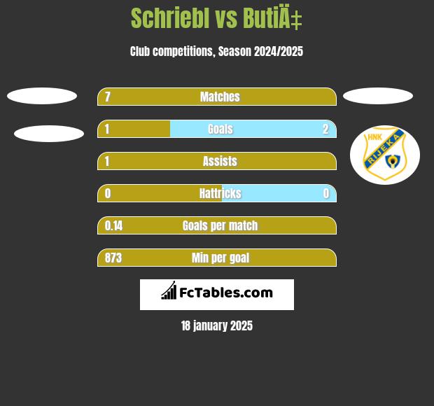 Schriebl vs ButiÄ‡ h2h player stats