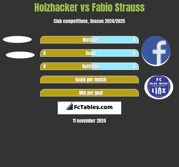 Holzhacker vs Fabio Strauss h2h player stats