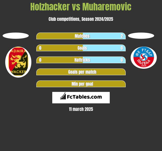 Holzhacker vs Muharemovic h2h player stats