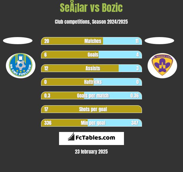 SeÅ¡lar vs Bozic h2h player stats