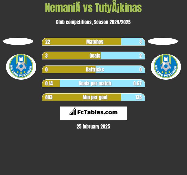 NemaniÄ vs TutyÅ¡kinas h2h player stats